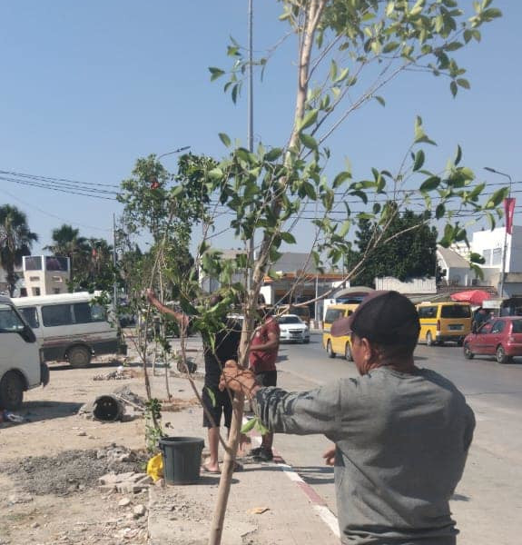  إنطلاق أشغال تشجير شارع الحرية